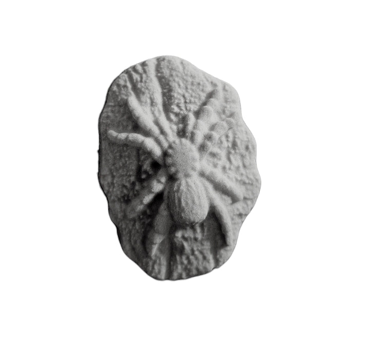 Tarantula Mould