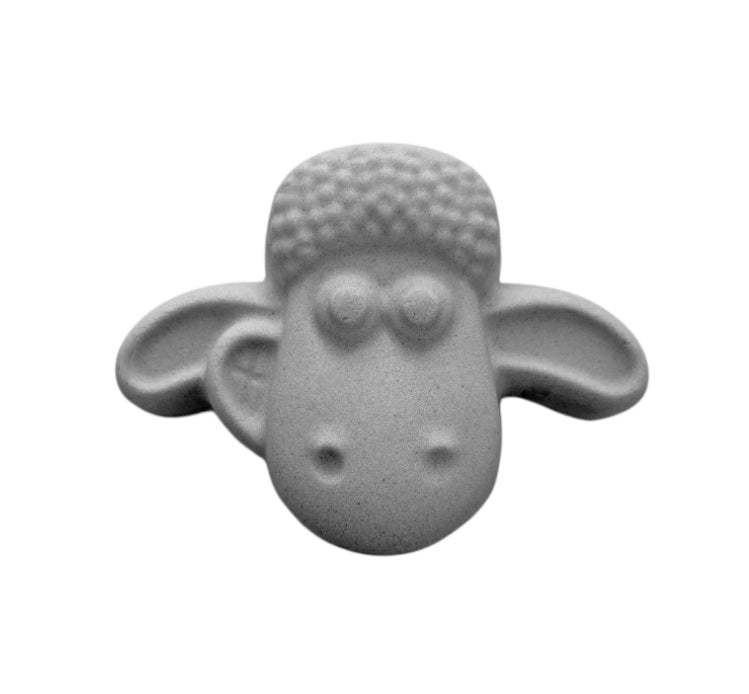Shaun Mould