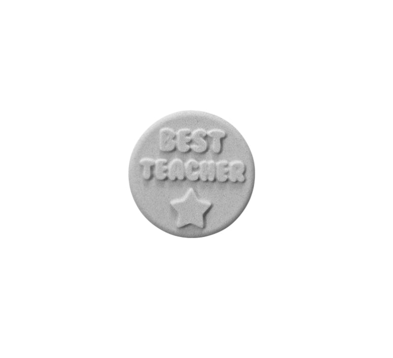 MINI Best Teacher Puck Mould