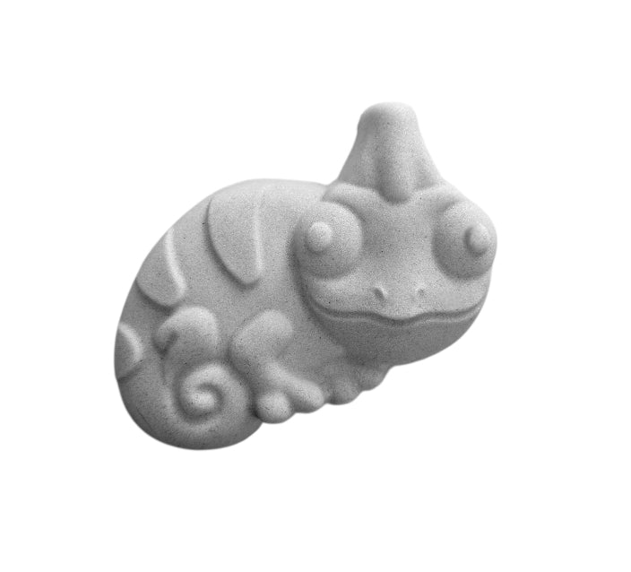Chameleon Mould
