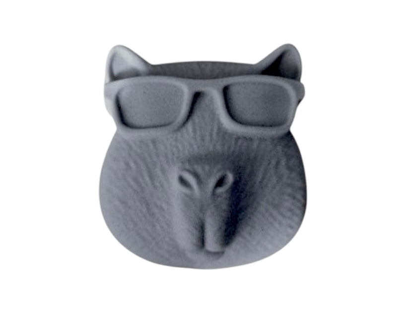 Capybara Glasses Mould