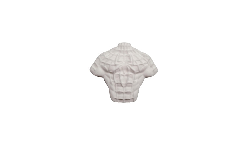 Mini S*P*I*D*E*R Torso Mould