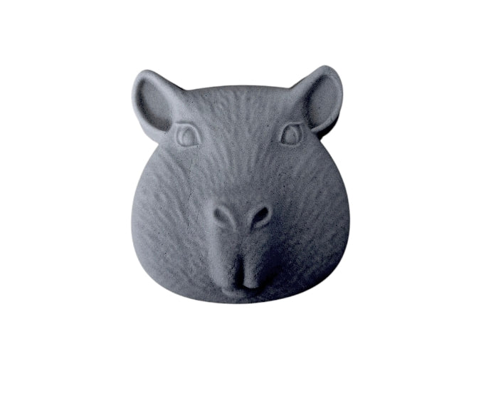 Capybara Mould