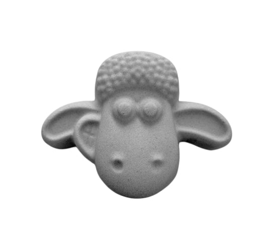 Shaun Mould