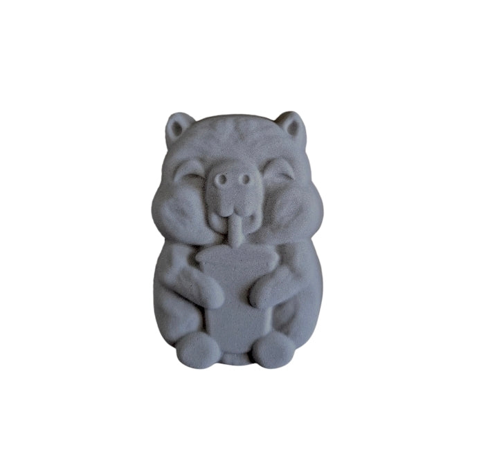 Cute Capybara Mould