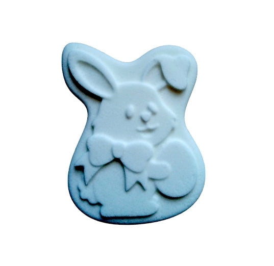 Easter Rabbit Mould