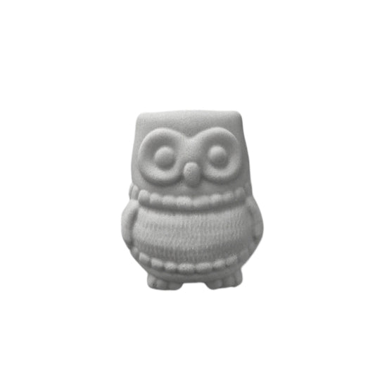MINI Cozy Owl Mould