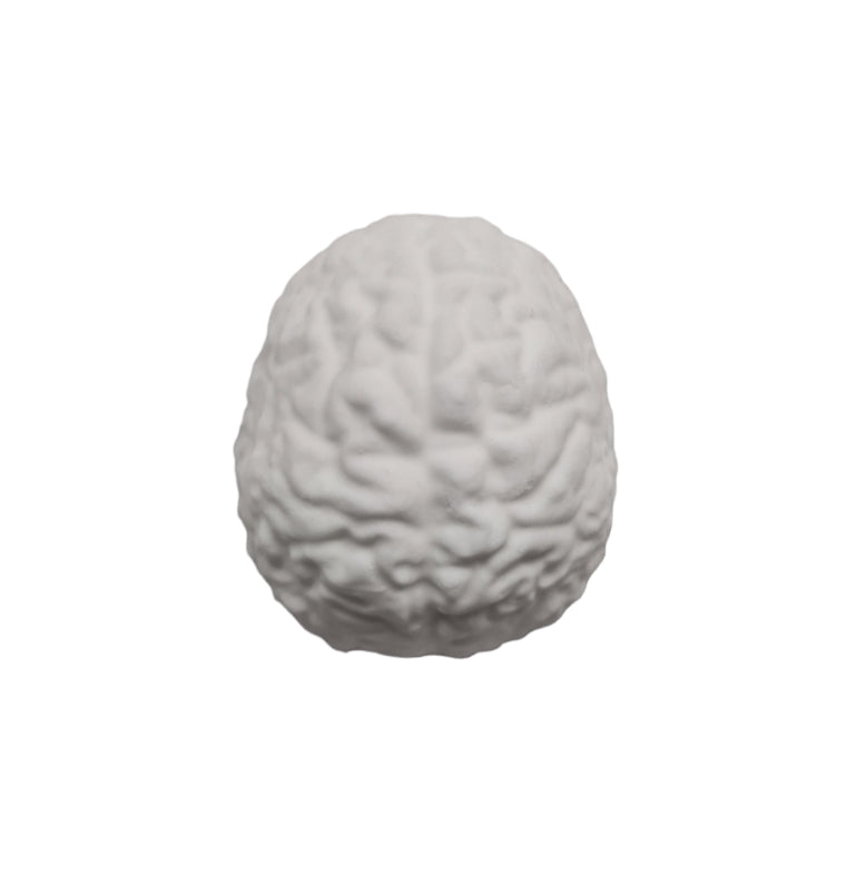 Mini Brain Mould