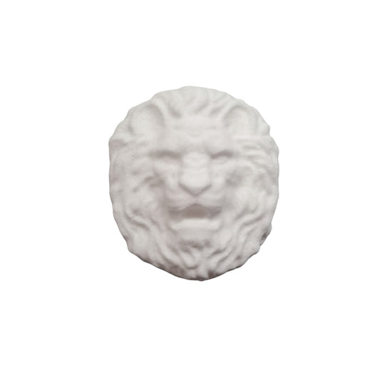 Detailed Lion Head Mould