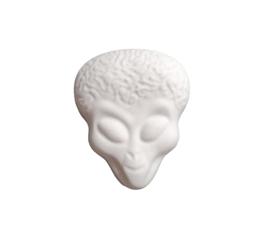 Detailed Alien Head Mould